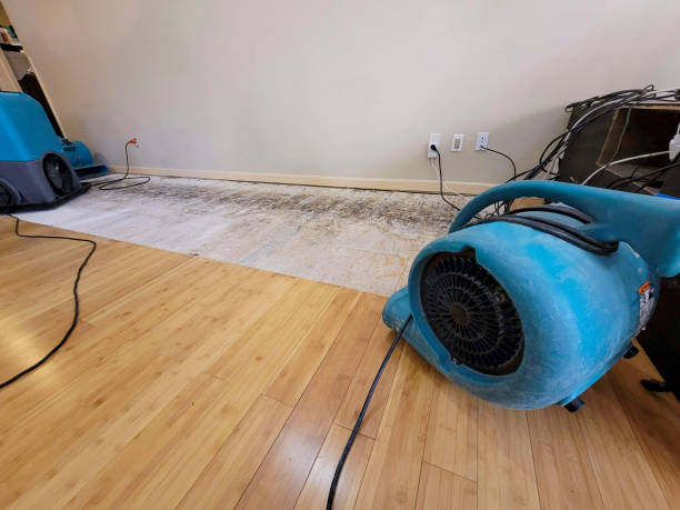 Professional Water Damage Repair technician working in North, SC